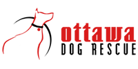 ODR logo