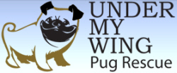 umwpr_logo